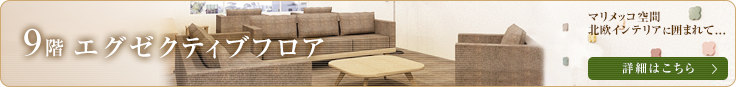9階エグゼクティブフロア NEW OPEN