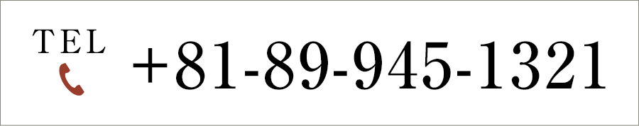 TEL +81-89-945-1321