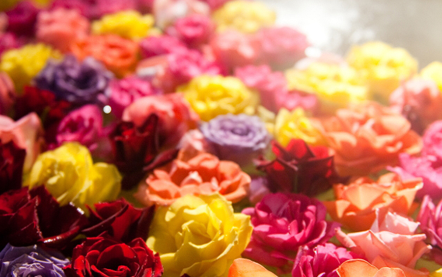 Open-air rose petal bath photo