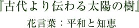 『古代より伝わる太陽の樹』 花言葉　平和と知恵