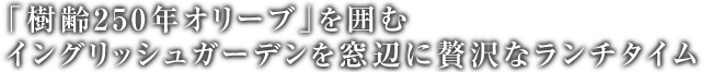 「樹齢250年オリーブ」の木をを囲む　イングリッシュガーデンを窓辺に贅沢なランチタイム