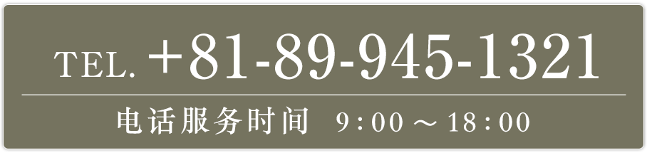 电话　+81-89-945-1321